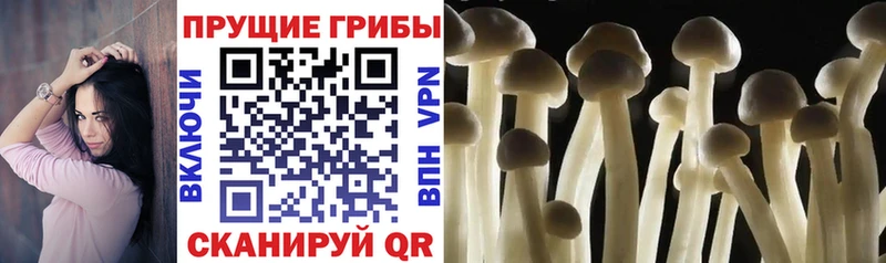 Галлюциногенные грибы мухоморы  Ханты-Мансийск 